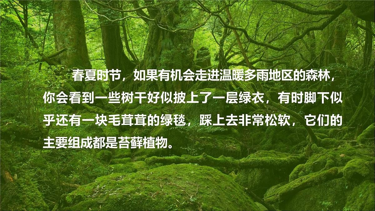 新人教版生物七上 2-1-1《藻类、苔藓和蕨类（第二课时）》课件第3页