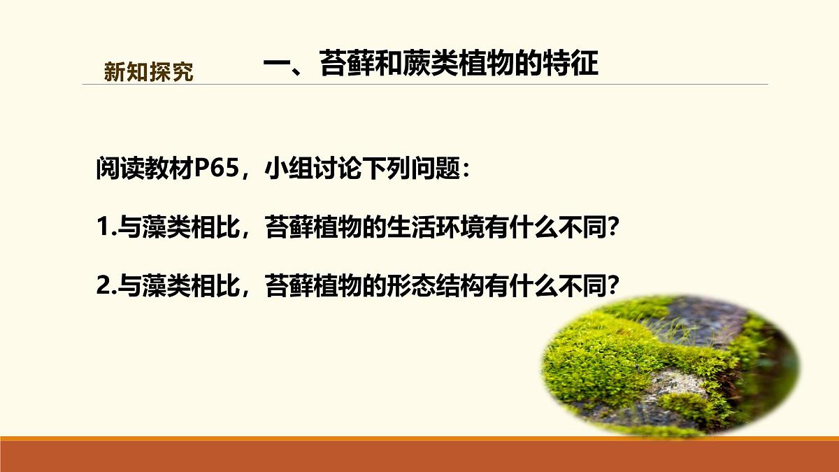 新人教版生物七上 2-1-1《藻类、苔藓和蕨类（第二课时）》课件第6页