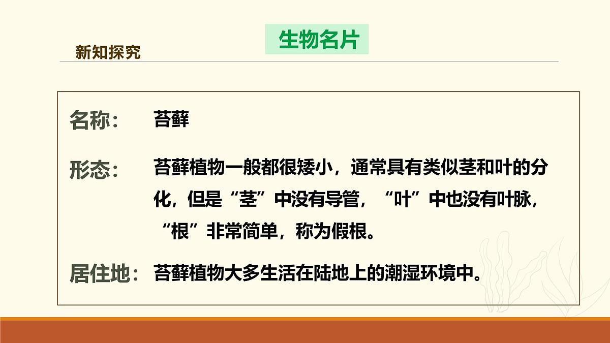 新人教版生物七上 2-1-1《藻类、苔藓和蕨类（第二课时）》课件第7页