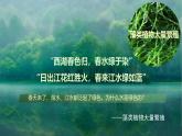新人教版生物七上 2-1-1《藻类、苔藓和蕨类（第一课时）》课件