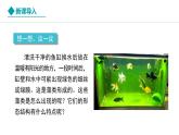 新人教版生物七上 2-1-1《藻类、苔藓和蕨类》教学课件