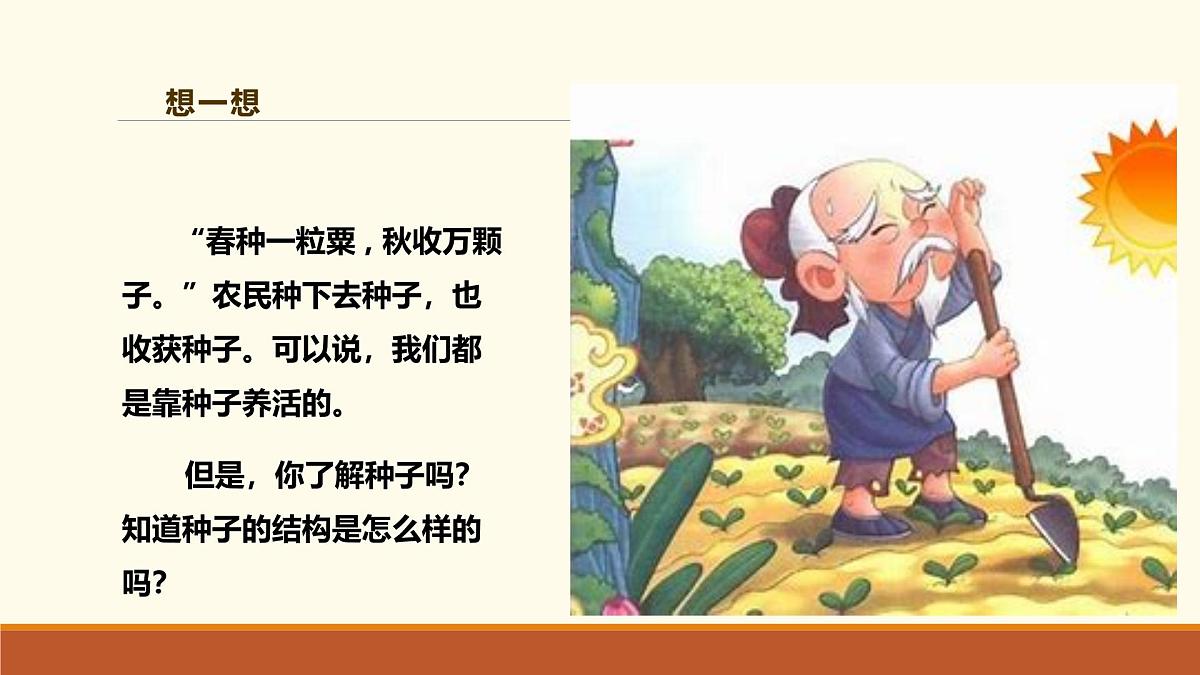 新人教版生物七上 2-1-2《种子植物（第一课时）》课件第6页