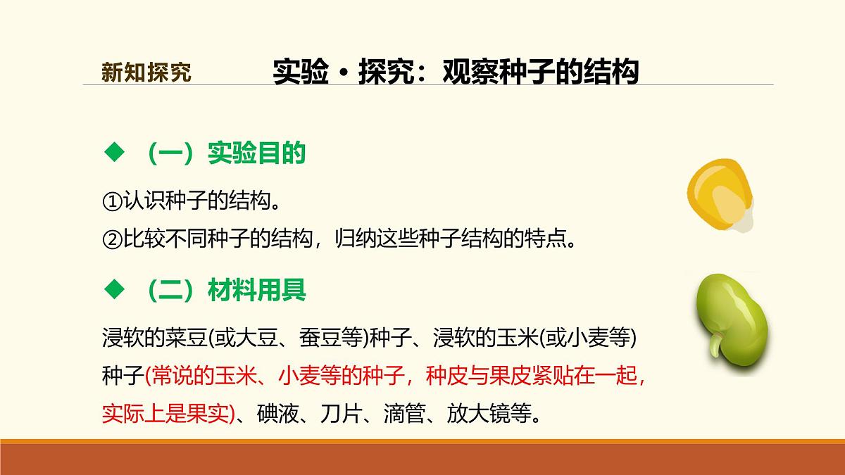 新人教版生物七上 2-1-2《种子植物（第一课时）》课件第7页