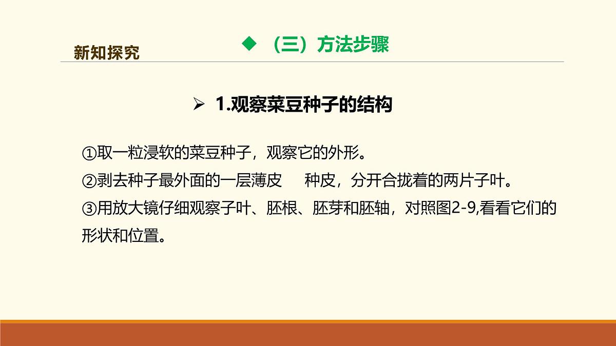 新人教版生物七上 2-1-2《种子植物（第一课时）》课件第8页