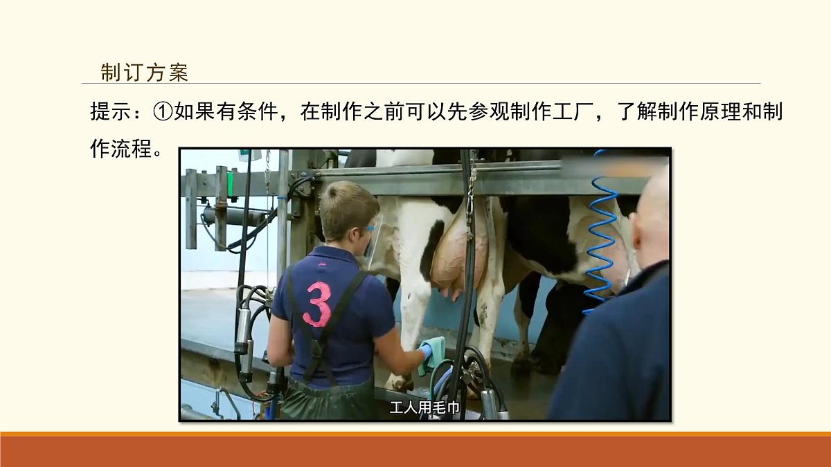 新人教版生物七上 2-3《综合实践项目 利用细菌或真菌制作发酵食品》课件第8页