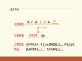 新人教版生物七上 2-4-2《从种到界（第二课时）》课件