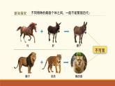 新人教版生物七上 2-4-2《从种到界（第二课时）》课件