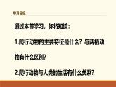新人教版生物七上2-2-2《两栖动物和爬行动物（第二课时）》课件
