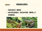 新人教版生物七上2-2-2《两栖动物和爬行动物（第二课时）》课件
