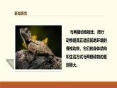 新人教版生物七上2-2-2《两栖动物和爬行动物（第二课时）》课件