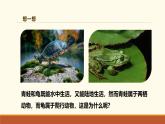 新人教版生物七上2-2-2《两栖动物和爬行动物（第一课时）》课件