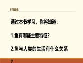 新人教版生物七上2-2-2《一鱼》课件