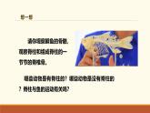 新人教版生物七上2-2-2《一鱼》课件