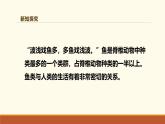 新人教版生物七上2-2-2《一鱼》课件