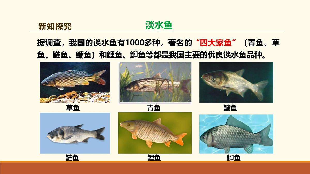 新人教版生物七上2-2-2《一鱼》课件第8页