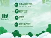新人教版生物七上《第二单元 多种多样的生物》单元综合复习课件
