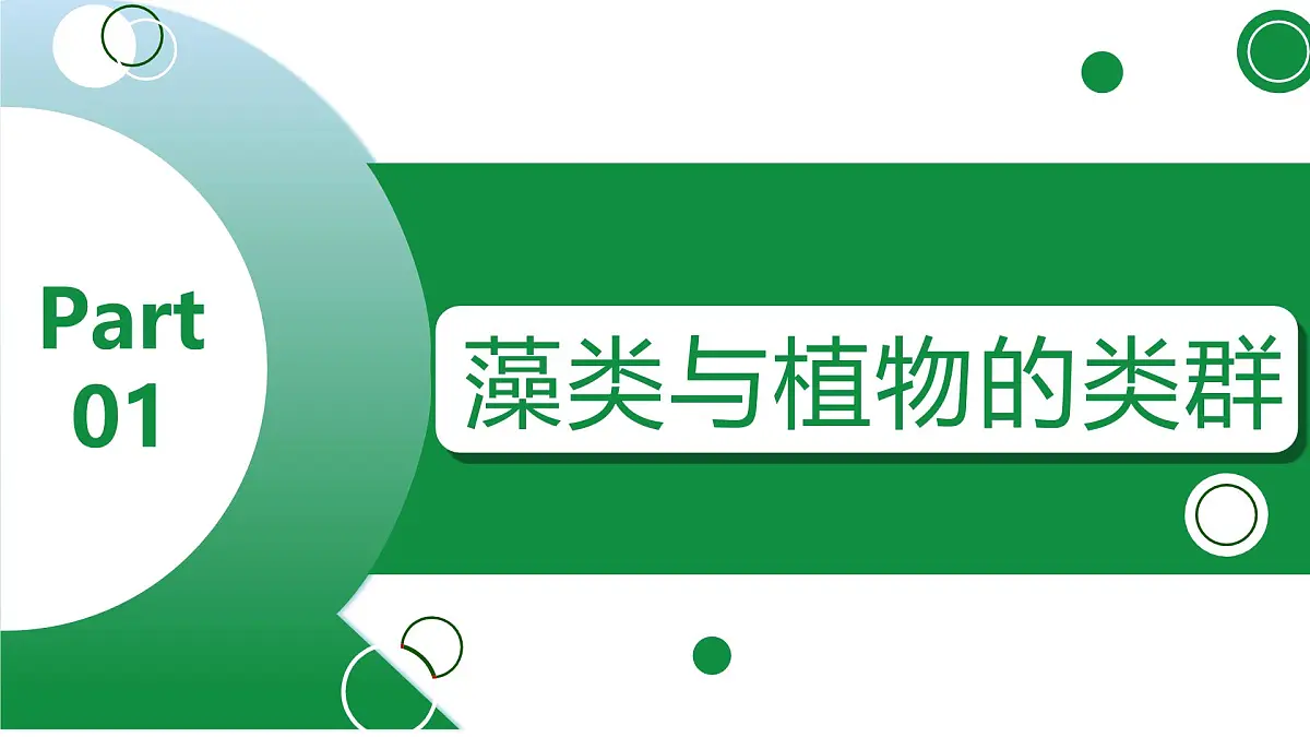 新人教版生物七上《第二单元 多种多样的生物》单元综合复习课件第3页