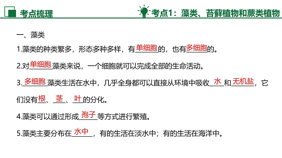 新人教版生物七上《第二单元 多种多样的生物》单元综合复习课件第4页