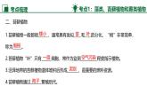 新人教版生物七上《第二单元 多种多样的生物》单元综合复习课件