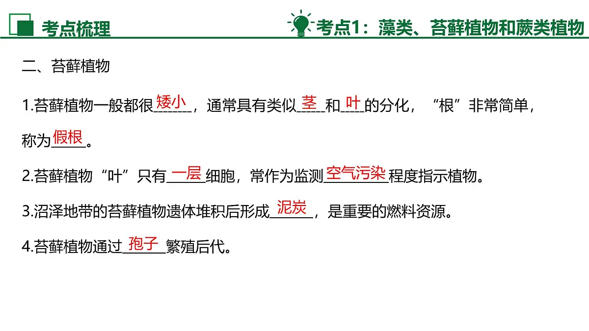 新人教版生物七上《第二单元 多种多样的生物》单元综合复习课件第5页