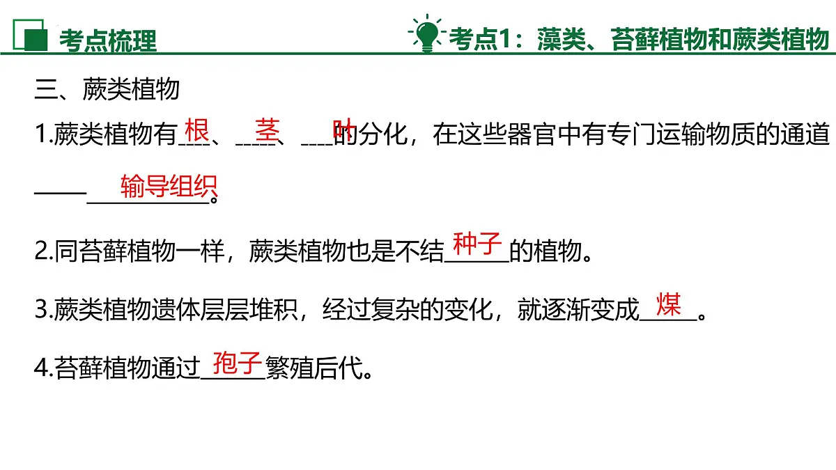 新人教版生物七上《第二单元 多种多样的生物》单元综合复习课件第6页
