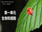 新人教版生物七上《第一單元第一、二章 認識生物和細胞》章末復習課件