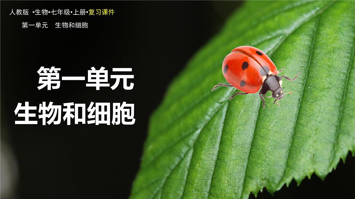新人教版生物七上《第一单元第一、二章 认识生物和细胞》章末复习课件第1页