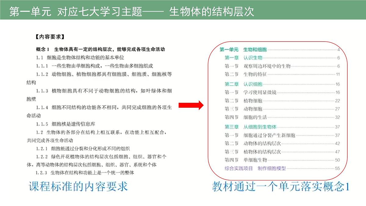 新人教版生物七上《第一单元第一、二章 认识生物和细胞》章末复习课件第2页