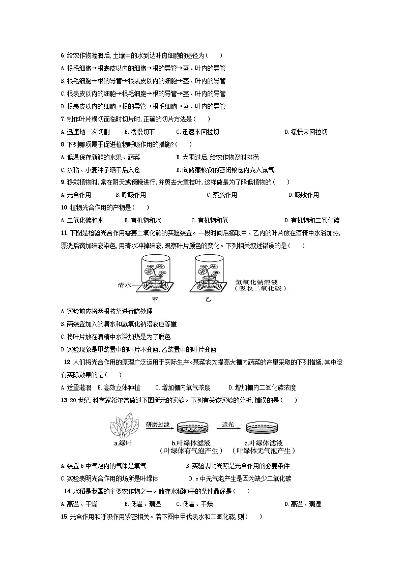 人教版（2024）七年级下册生物期中学情评估测试卷（含答案解析）第2页