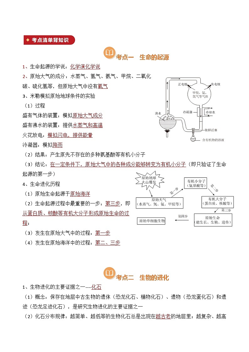清单17 生命起源和生物进化（3大必备知识 4大技巧方法 7大命题点）-2025年中考生物一轮复习知识清单（全国通用）（解析版）第2页