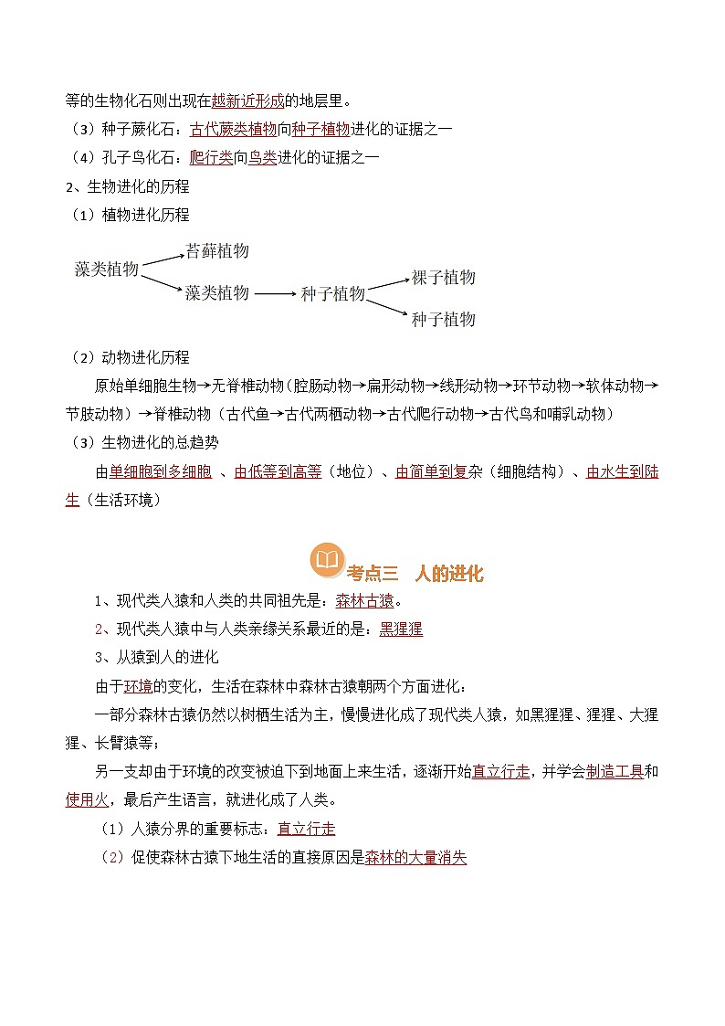 清单17 生命起源和生物进化（3大必备知识 4大技巧方法 7大命题点）-2025年中考生物一轮复习知识清单（全国通用）（解析版）第3页