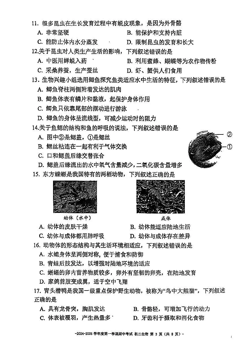 2024北京二中初二（上）期中生物试卷（无答案）第3页