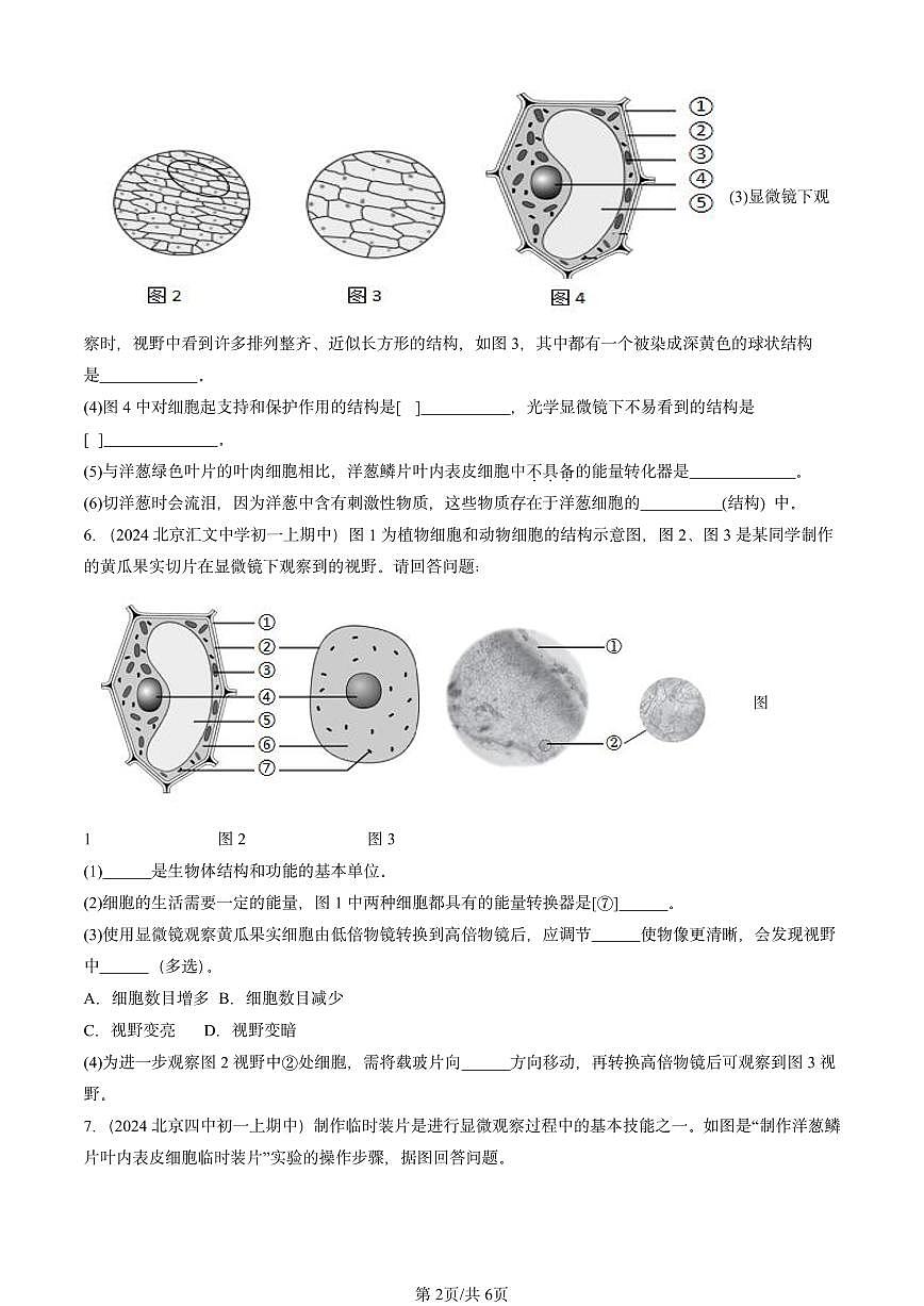 2024北京重点校初一（上）期中真题生物汇编：植物细胞第2页