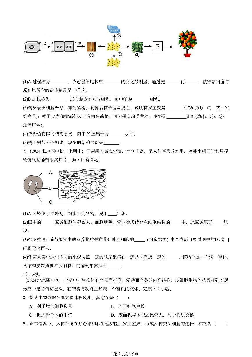 2024北京重点校初一（上）期中真题生物汇编：植物体的结构层次第2页