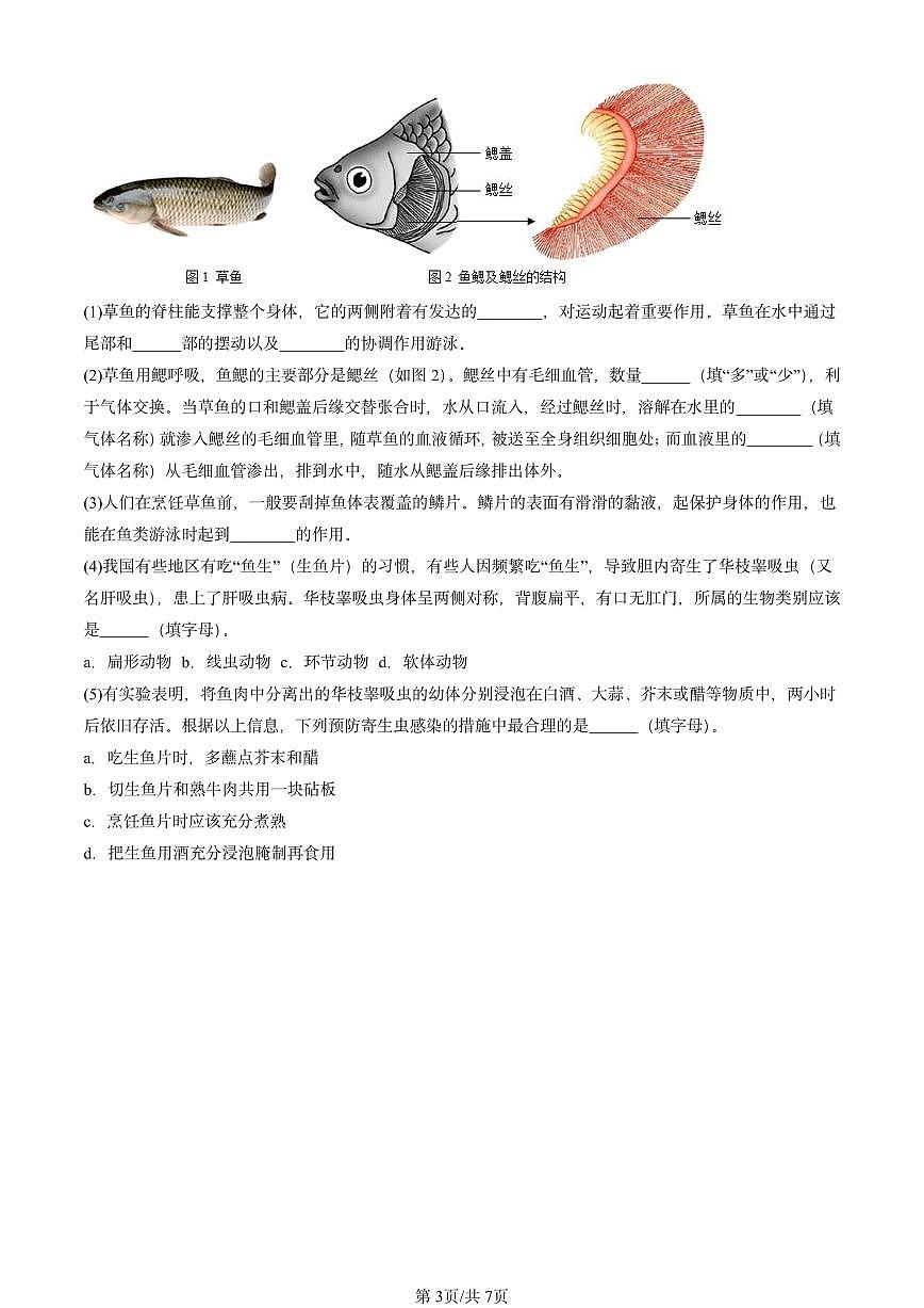 2024北京重点校初二（上）期中真题生物汇编：鱼第3页