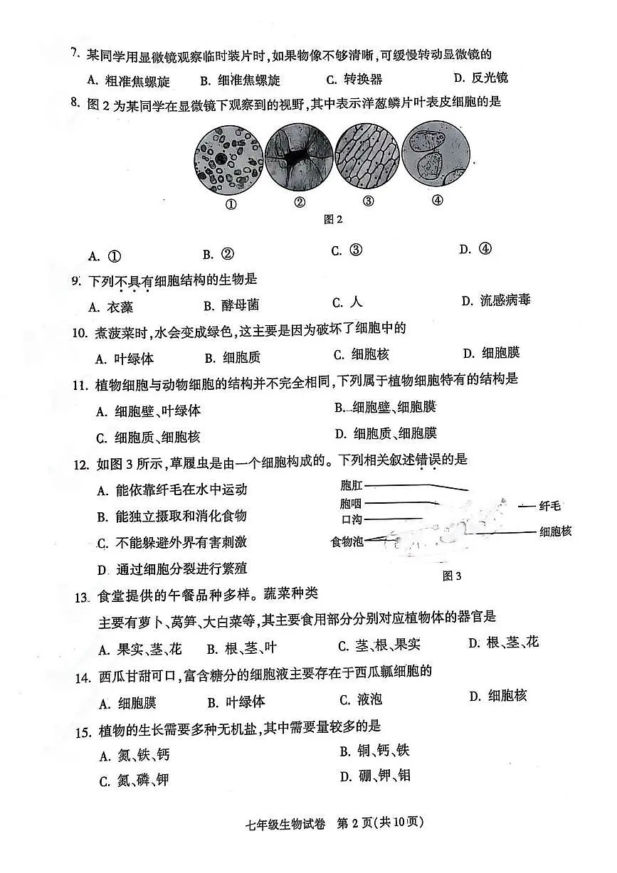 2025北京顺义初一（上）期末生物试卷（无答案）第2页