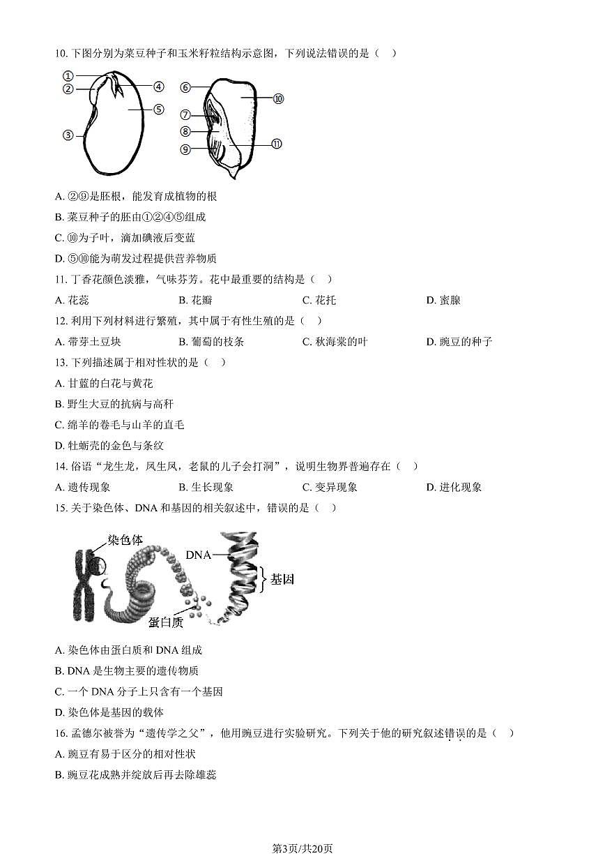 2025北京朝阳初二（上）期末生物试卷（有答案）第3页
