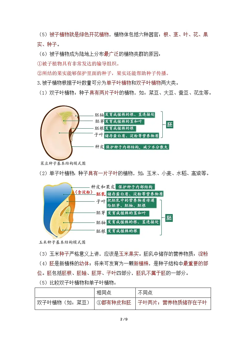 新人教版生物七上《第二单元 多种多样的生物》单元知识清单第2页