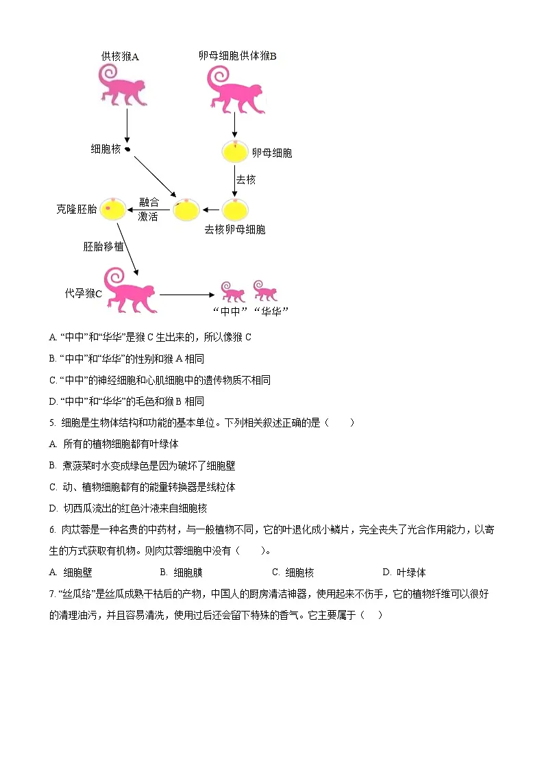 安徽省合肥市肥西县2024-2025学年七年级上学期期末生物试题（原卷版）第2页