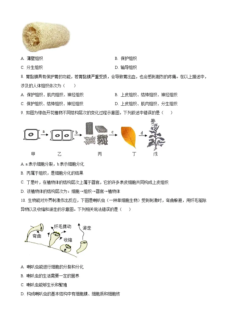 安徽省合肥市肥西县2024-2025学年七年级上学期期末生物试题（原卷版）第3页