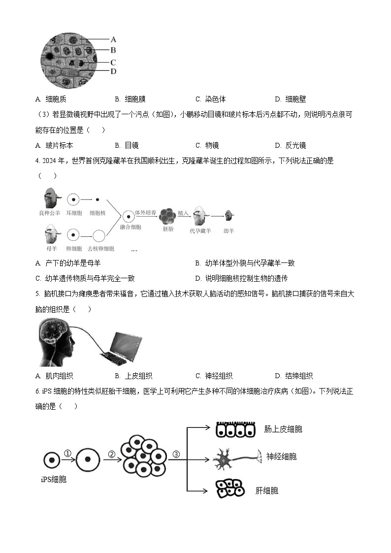 广东省深圳市福田区2024-2025学年七年级上学期期末生物试题（原卷版）第2页