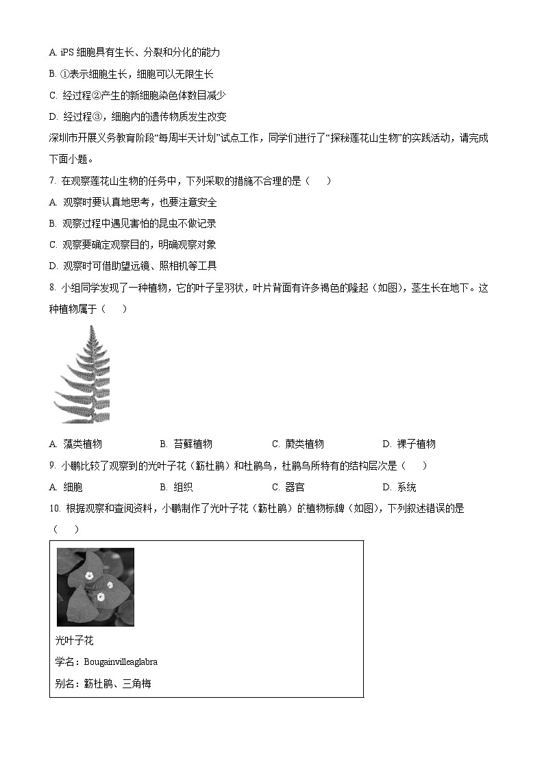 广东省深圳市福田区2024-2025学年七年级上学期期末生物试题（原卷版）第3页