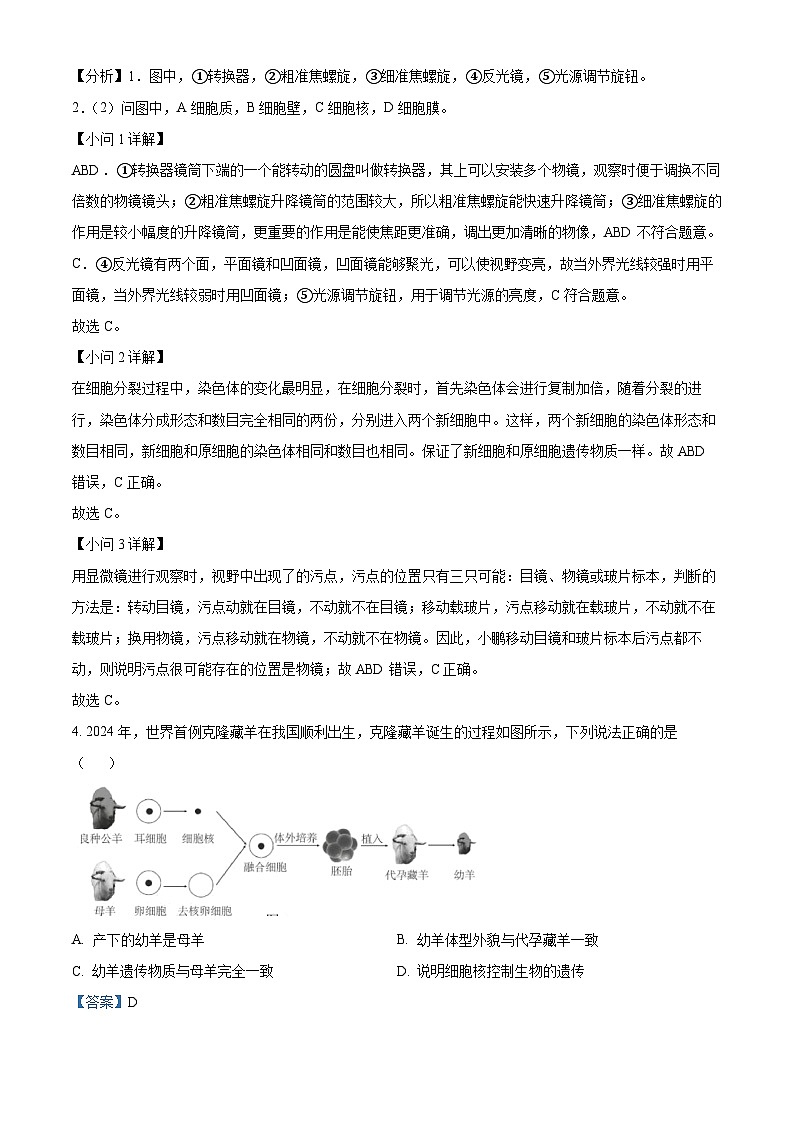 广东省深圳市福田区2024-2025学年七年级上学期期末生物试题（解析版）第3页