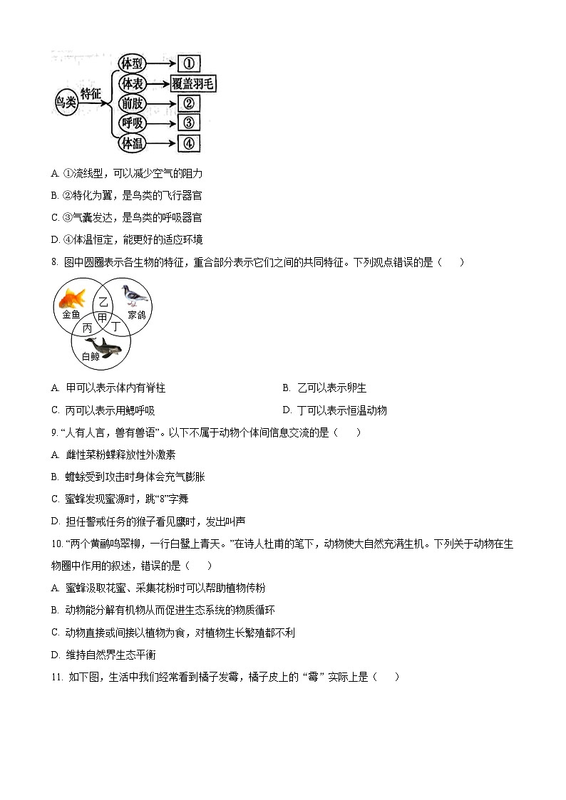 河南省焦作市武陟县2024-2025学年八年级上学期期末生物试题（原卷版）第2页