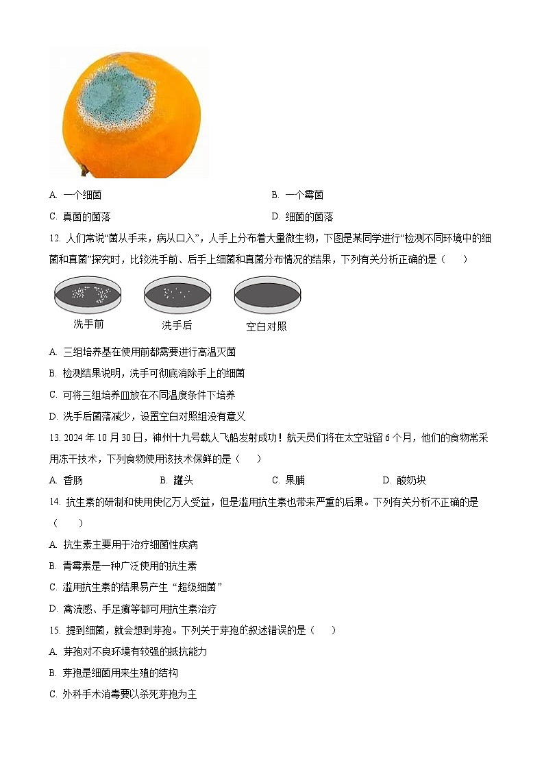 河南省焦作市武陟县2024-2025学年八年级上学期期末生物试题（原卷版）第3页