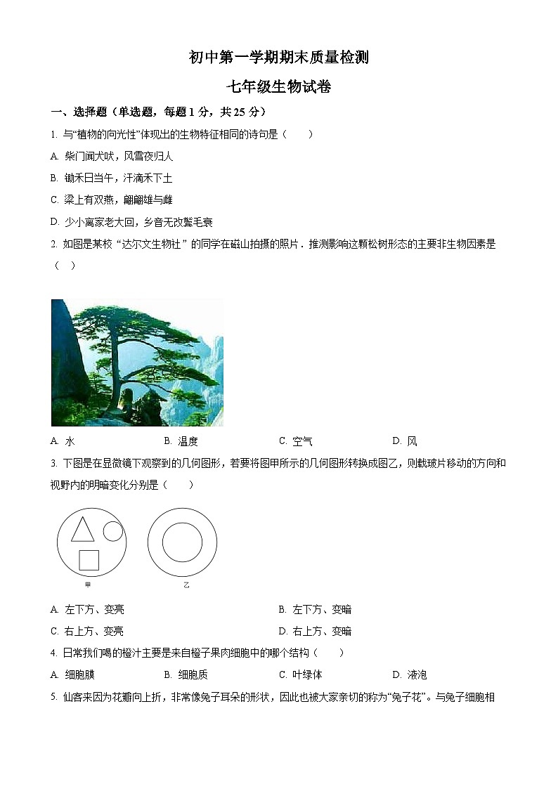 河南省郑州市巩义市2024-2025学年七年级上学期期末生物试题（原卷版）第1页