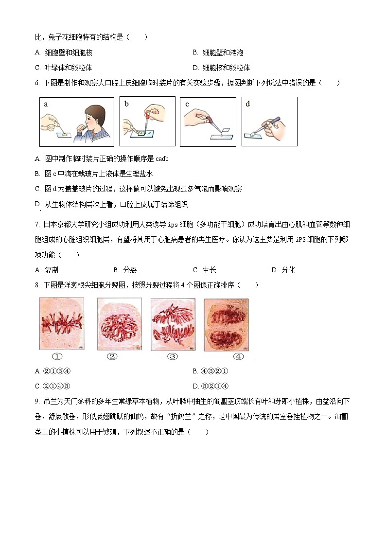 河南省郑州市巩义市2024-2025学年七年级上学期期末生物试题（原卷版）第2页