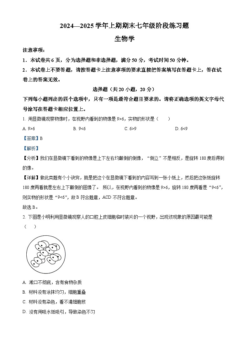 河南省周口市西华县2024-2025学年七年级上学期期末生物试题（解析版）第1页