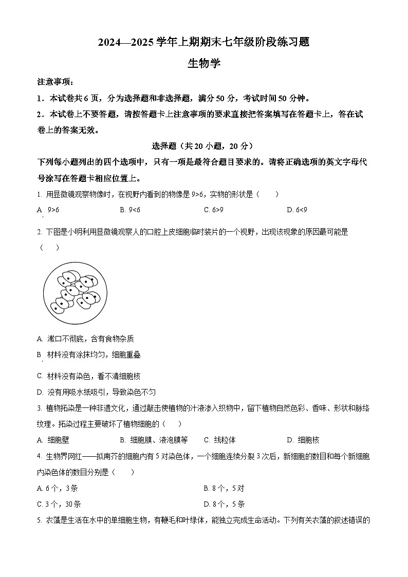 河南省周口市西华县2024-2025学年七年级上学期期末生物试题（原卷版）第1页