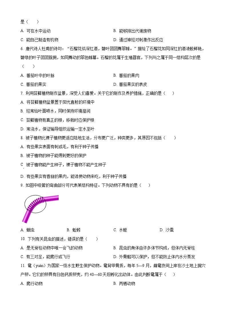 河南省周口市西华县2024-2025学年七年级上学期期末生物试题（原卷版）第2页